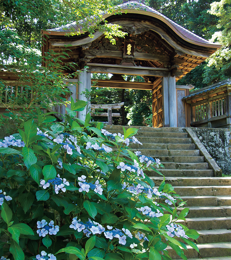 月照寺