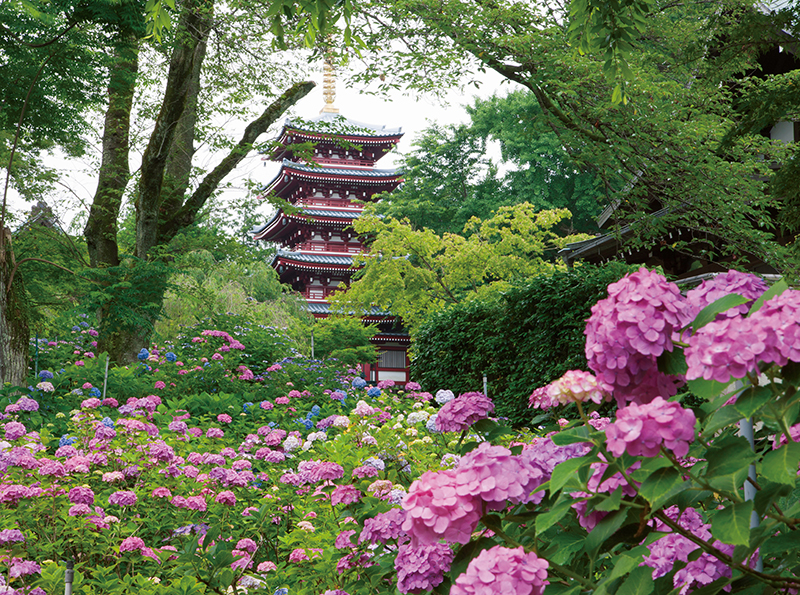本土寺