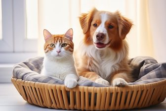 加熱式たばこ愛用者ら喫煙者が愛犬・愛猫のために知っておきたいルール