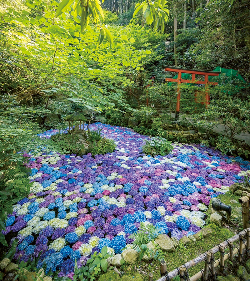 「南蔵院」