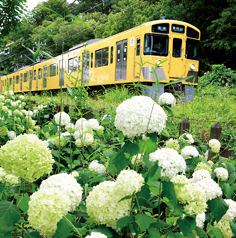 北山公園と西武鉄道