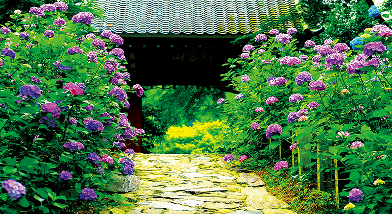 本光寺