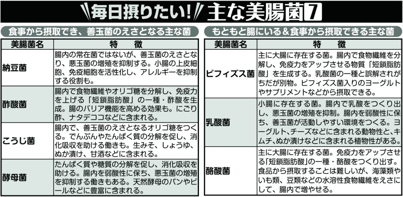 毎日摂りたい！主な美腸菌7