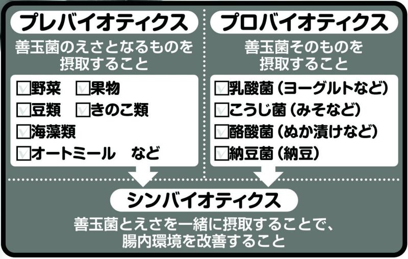 プロバイオティクスとプレバイオティクス