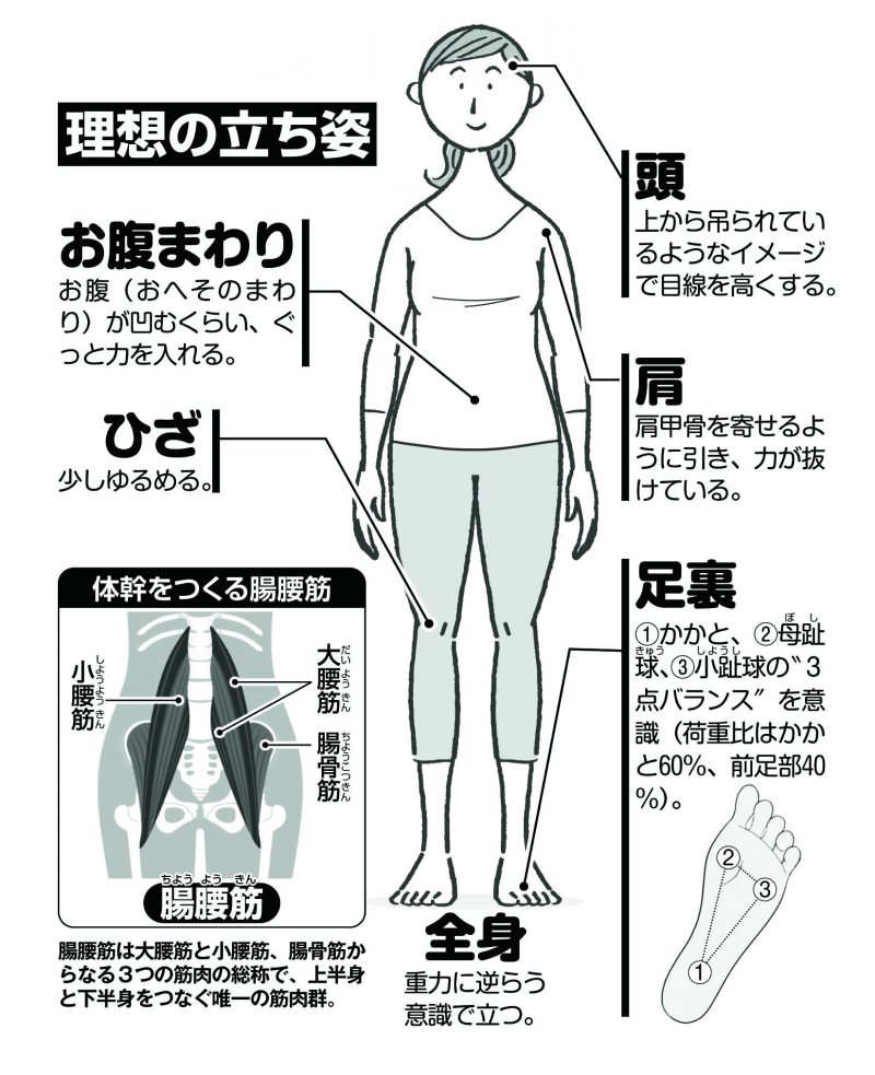 理想の立ち姿
