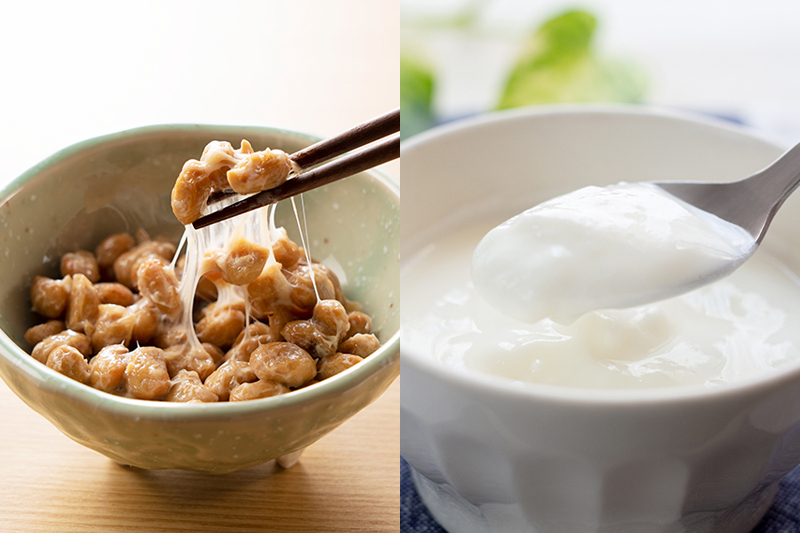 納豆とヨーグルト