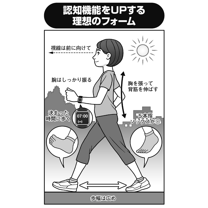 脳の認知機能をアップする理想のフォームのイラスト