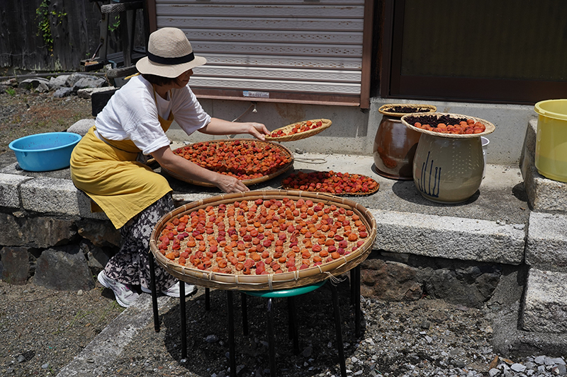 殺菌・抗菌効果が高く、クエン酸が豊富な梅干しも長寿に適した食品の1つ（写真提供／発酵オカン）