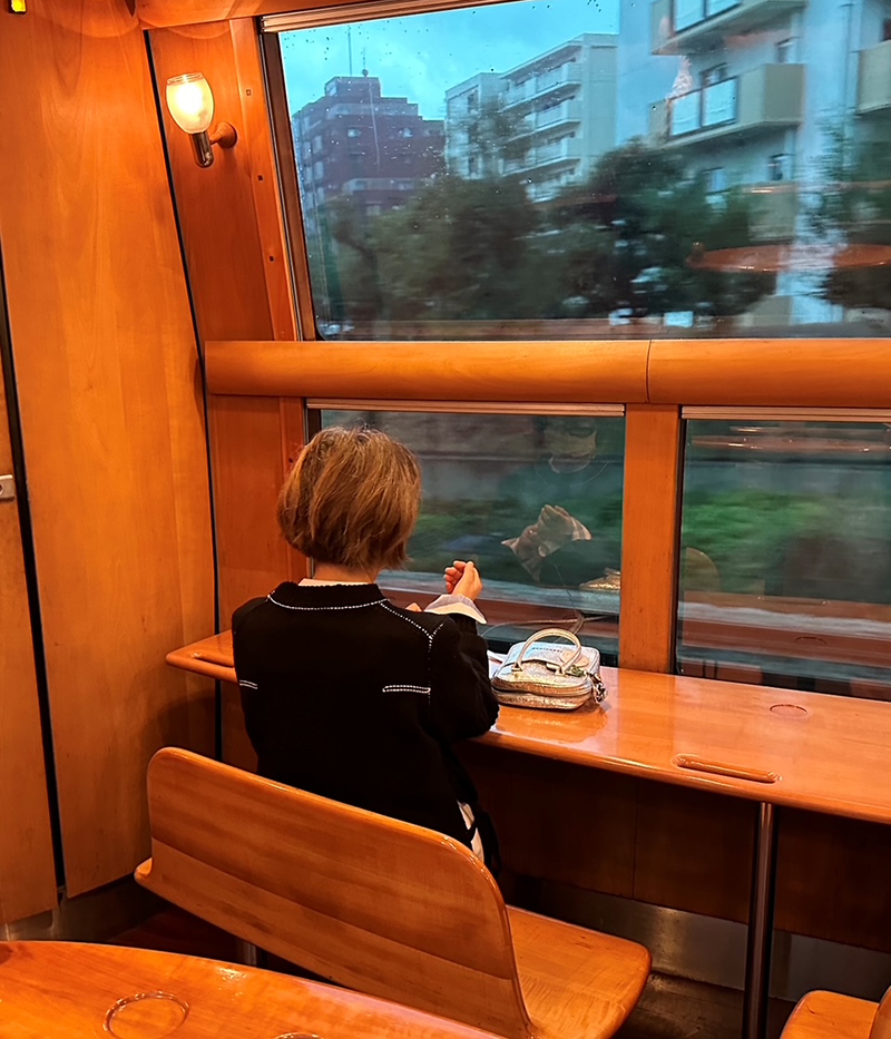 「列車に乗って車窓をぼんやり眺めるのもひとり旅の醍醐味」（山脇さん）