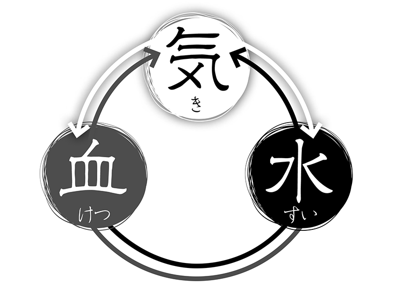 漢方医学には「気・血・水」の考え方がある