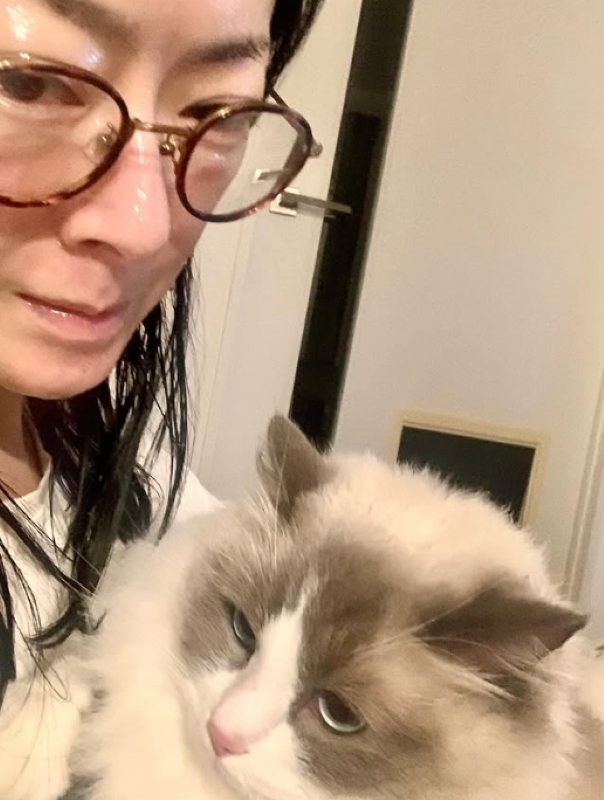 SNS投稿は愛猫のことばかり（インスタグラムより）