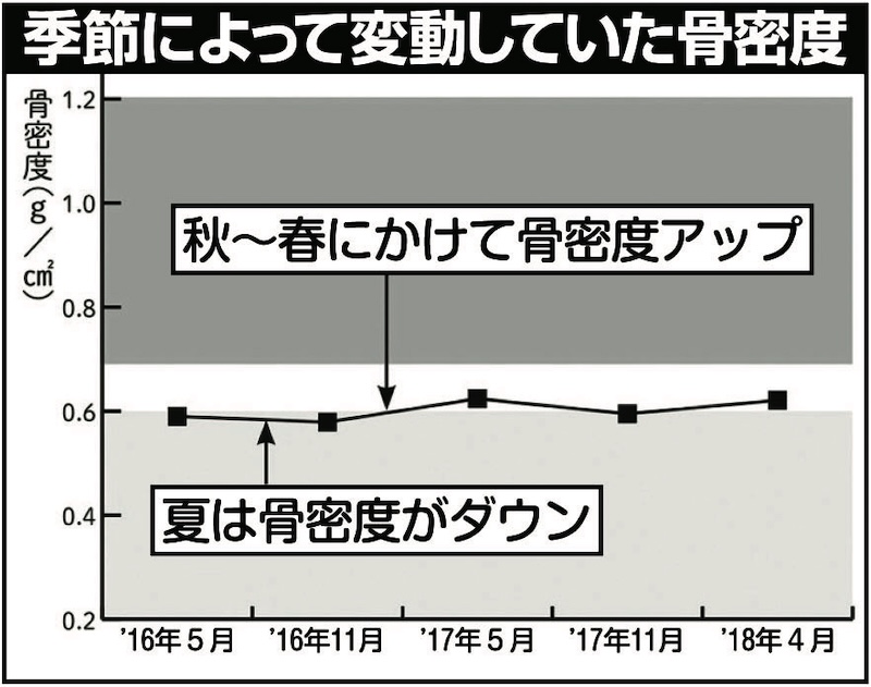 骨密度の季節ごとの変移