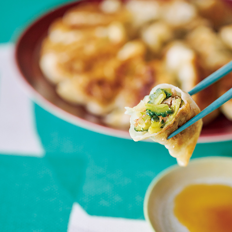 「ゴーヤーとかつおぶしの和風餃子」