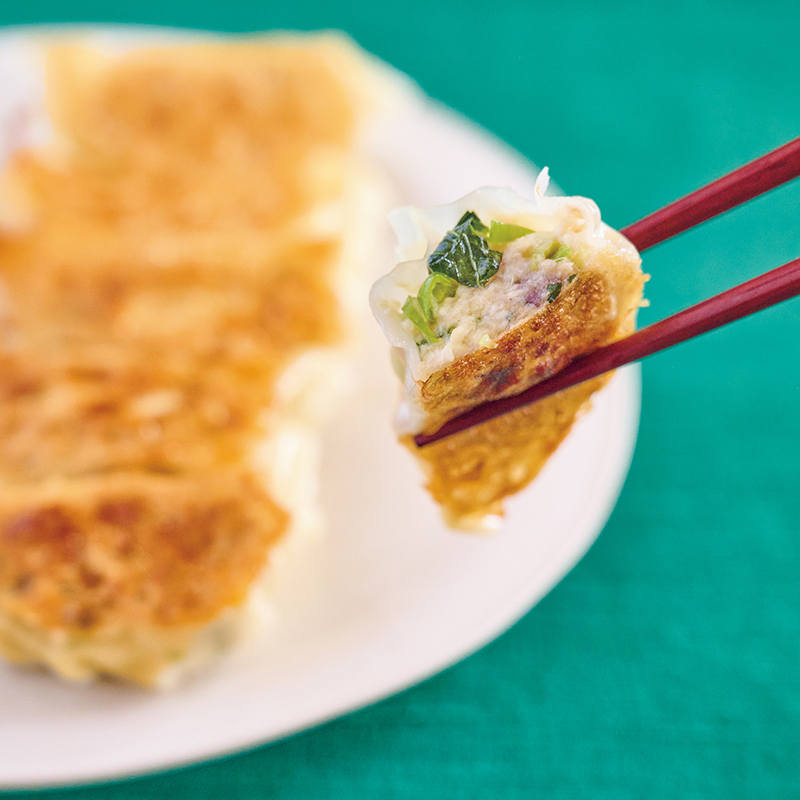 「ツナと豆腐の薬味たっぷり餃子」