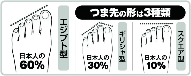 つま先の形は3種類（イラスト／勝山英幸）