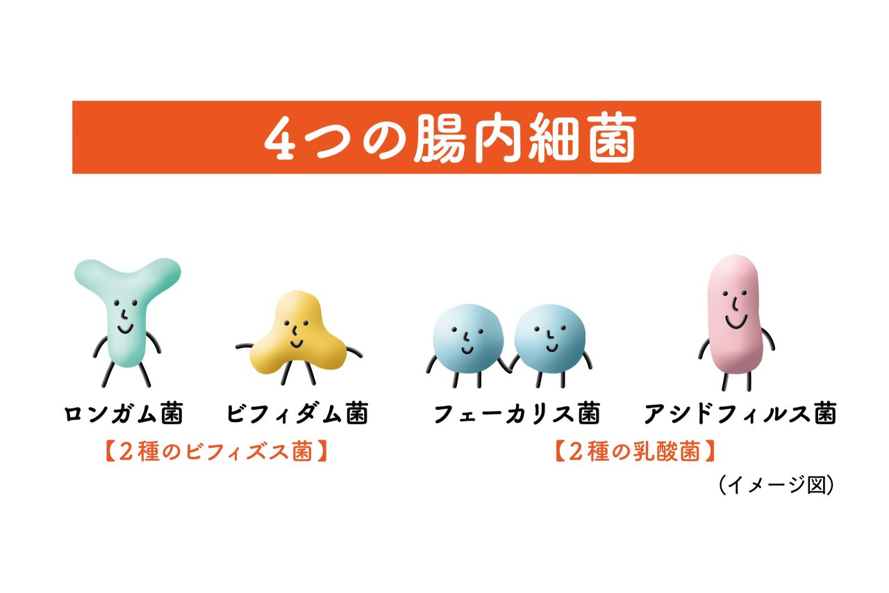イメージ図