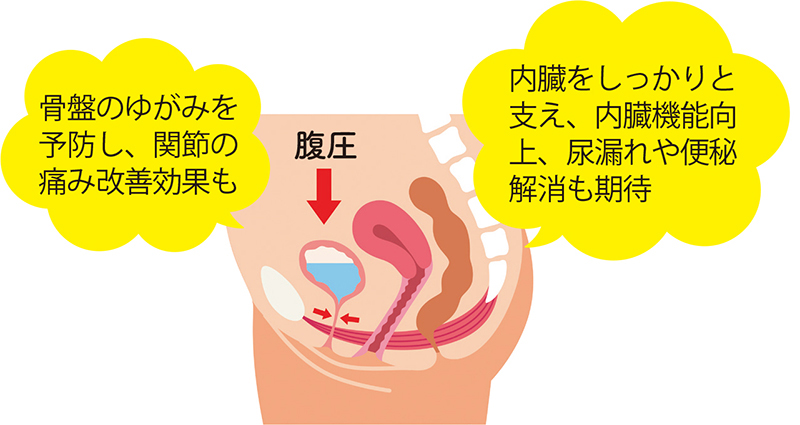骨盤底筋がよみがえると…