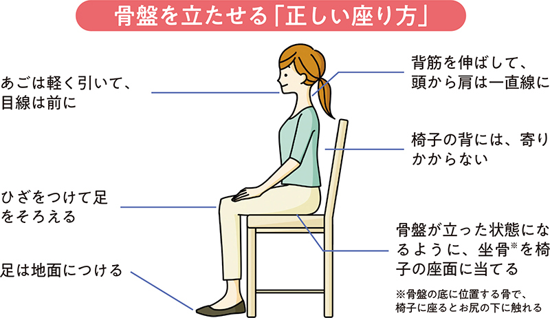 骨盤を立たせる「正しい座り方」