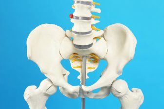 《いつまでも自力で歩ける体の要は“股関節”》1日1分トレーニング&股関節のズレを防ぐ習慣を医師…