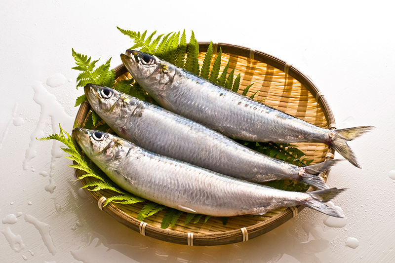 青魚は血管の細胞を守り、しなやかな血管を保つ働きがある（写真／PIXTA）