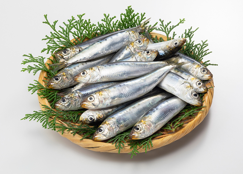 青魚にはカルシウムの吸収を促進するビタミンDが多く含まれる（写真／PIXTA）