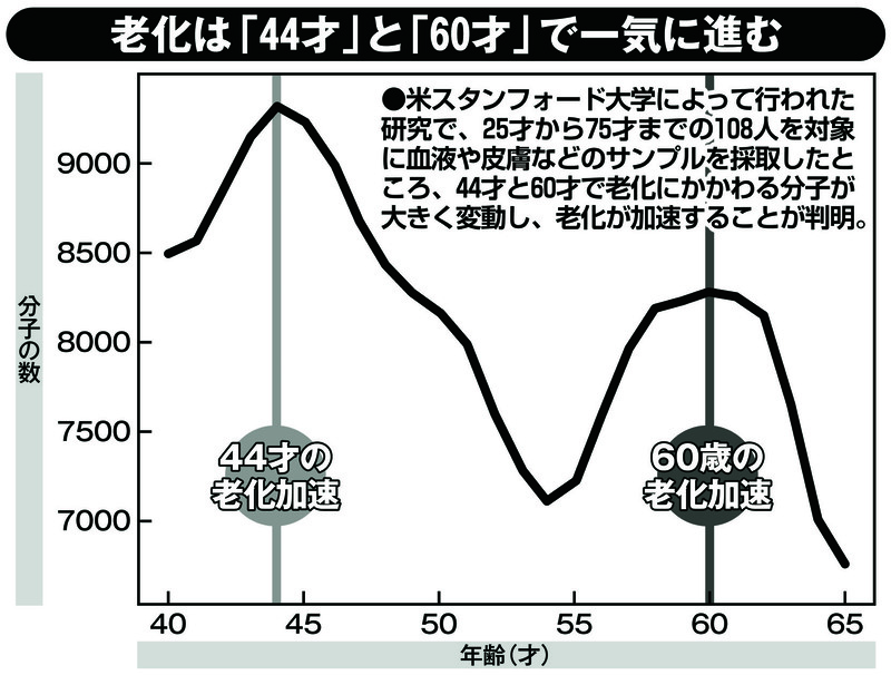 老化は44才と60才で一気に進む