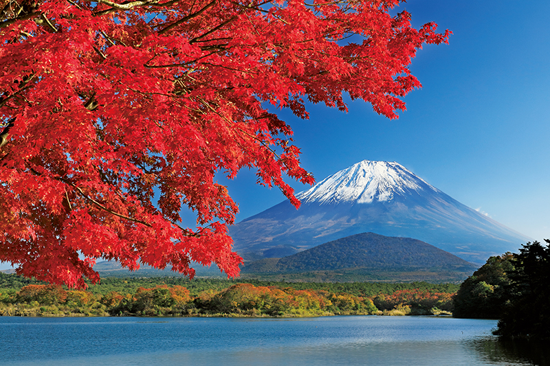 山梨県の「精進湖」（写真／アフロ）