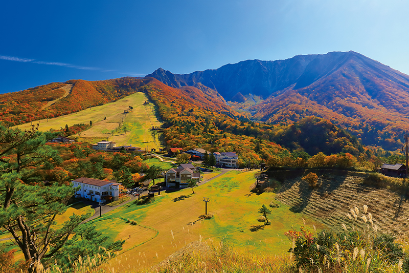 鳥取県の「大山」※写真は「角磐山 大山寺」周辺（写真／アフロ）