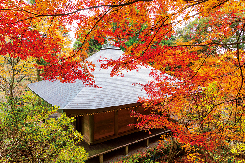大分県の「両子寺」（写真／アフロ）