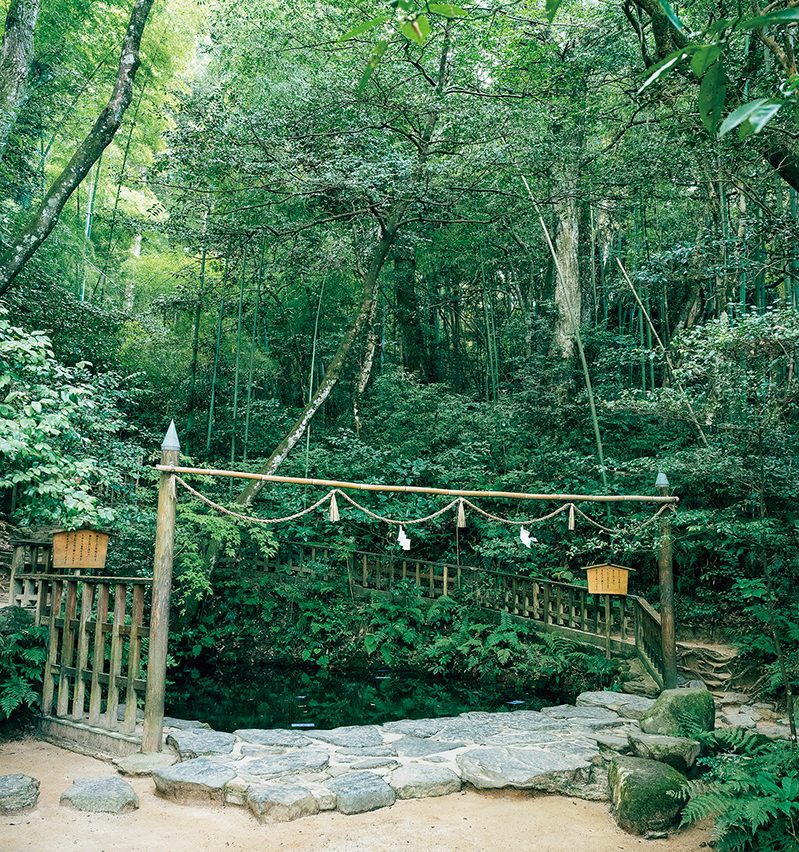 “神秘の森”「八重垣神社」