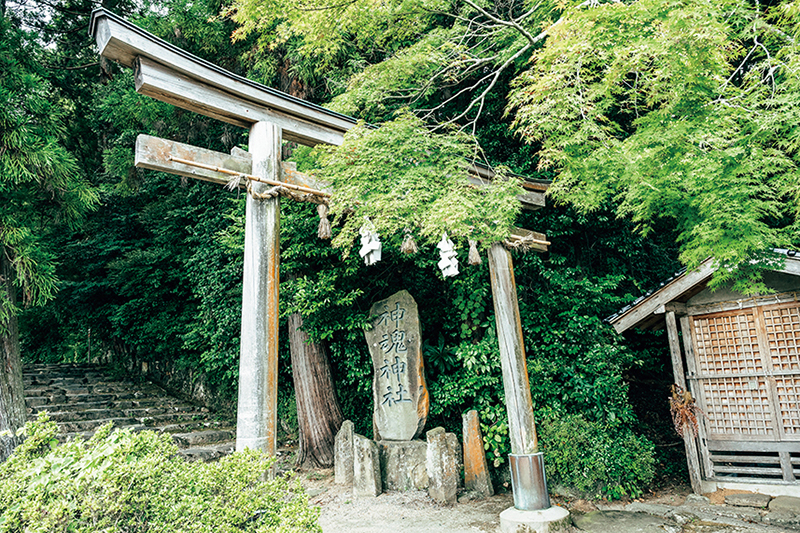 国宝 神魂神社