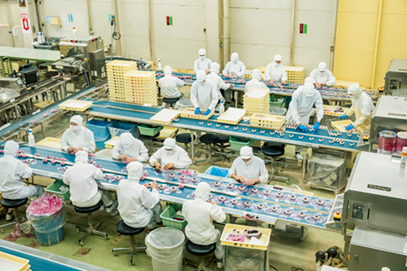 桔梗信玄餅工場テーマパーク