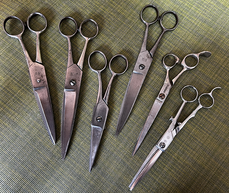 研いで使い続け、刃が半分にまで短くなった理容師用はさみ。小指をかける部分がない眼鏡はさみは、シツイさんの小さな手には向かないと言われたが、巧みに使いこなす