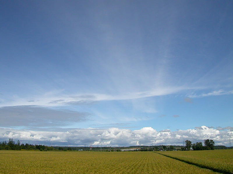 就農希望者には「北海道農業担い手育成センター」などの相談窓口も。