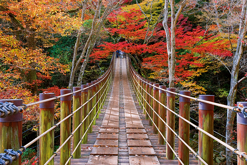 茨城県・花貫渓谷