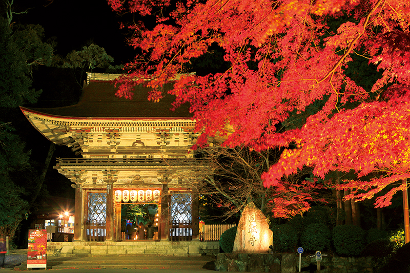 滋賀県の三井寺