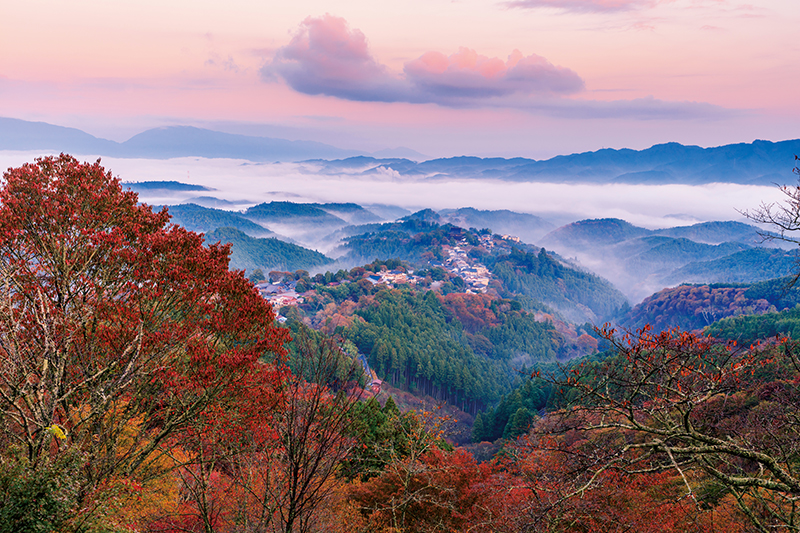 “サクラもみじ”が有名な景勝地「奈良県・吉野山」
