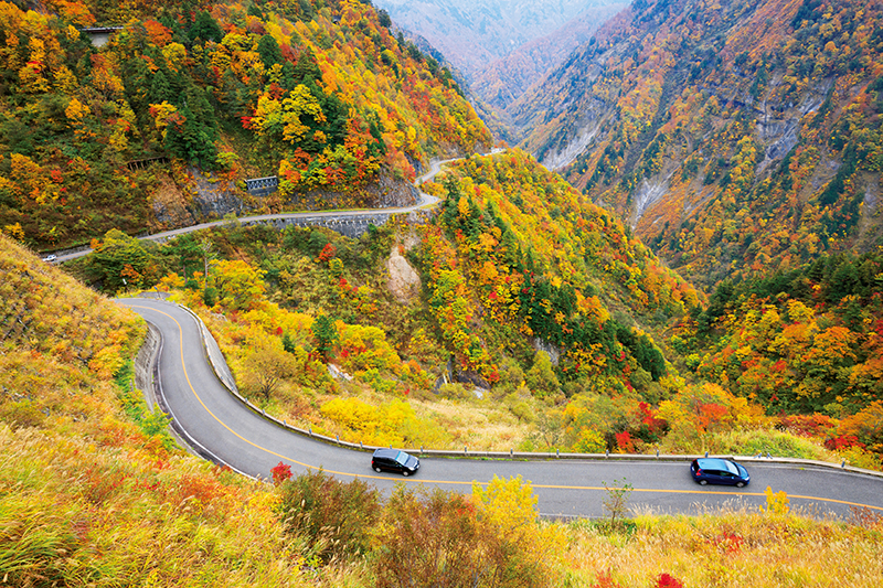 石川県～岐阜県の「白山白川郷ホワイトロード」（写真／森田敏隆）