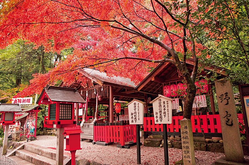 京都府の「野宮神社」