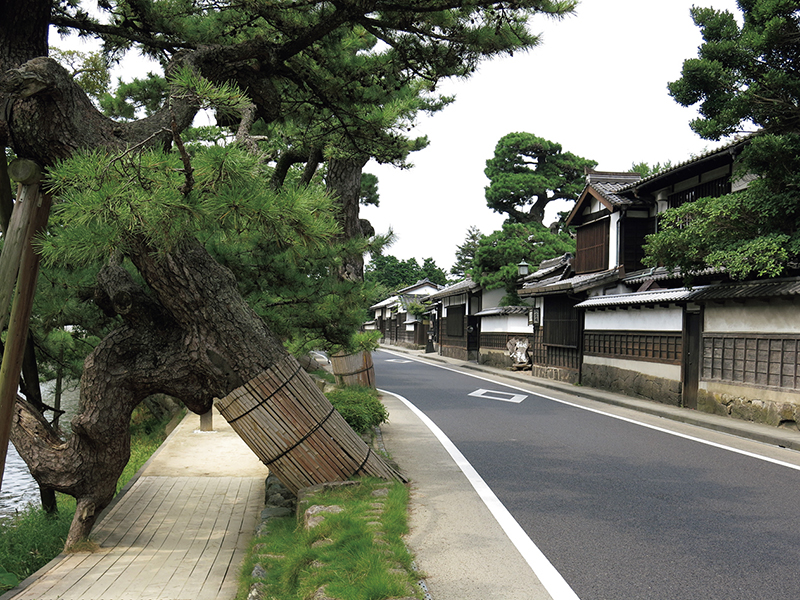 小泉八雲旧居や記念館をはじめ、武家屋敷風の家が並ぶ