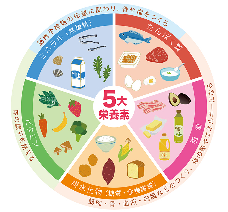 5大栄養素の表