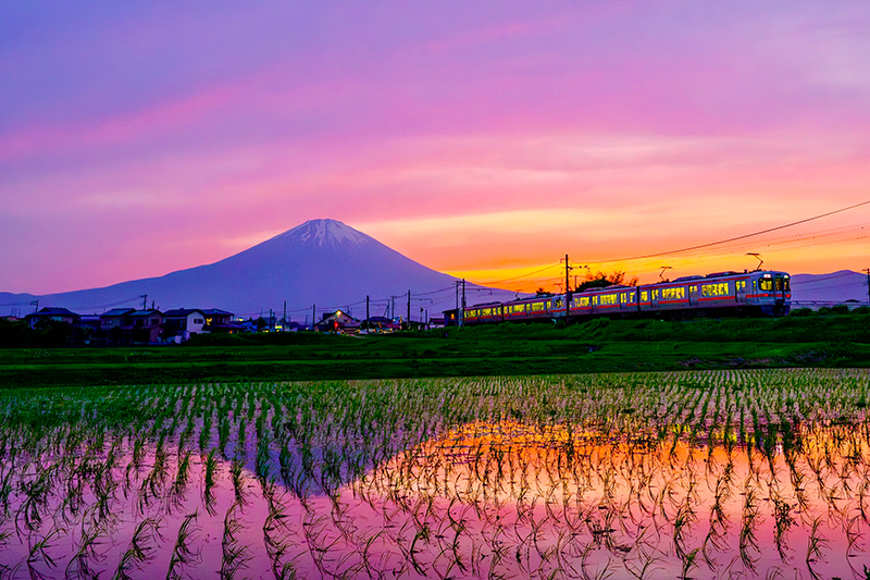 富士山が望める静岡市、富士市、富士宮市、沼津市、御殿場市、裾野市なども人気のエリア