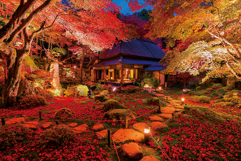 隠れた紅葉の名刹『清瀧寺徳源院』