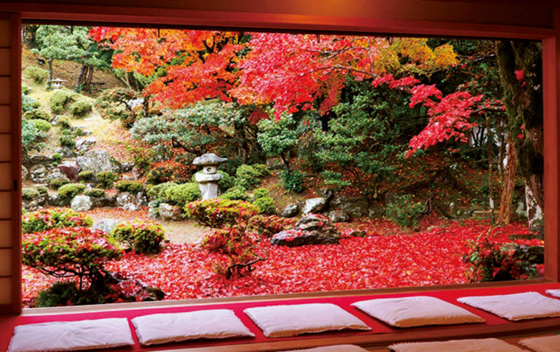 本堂から眺める紅葉の絨毯は、美しく幻想的な雰囲気