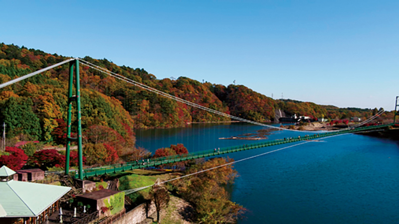 クマタカ（大吊橋）