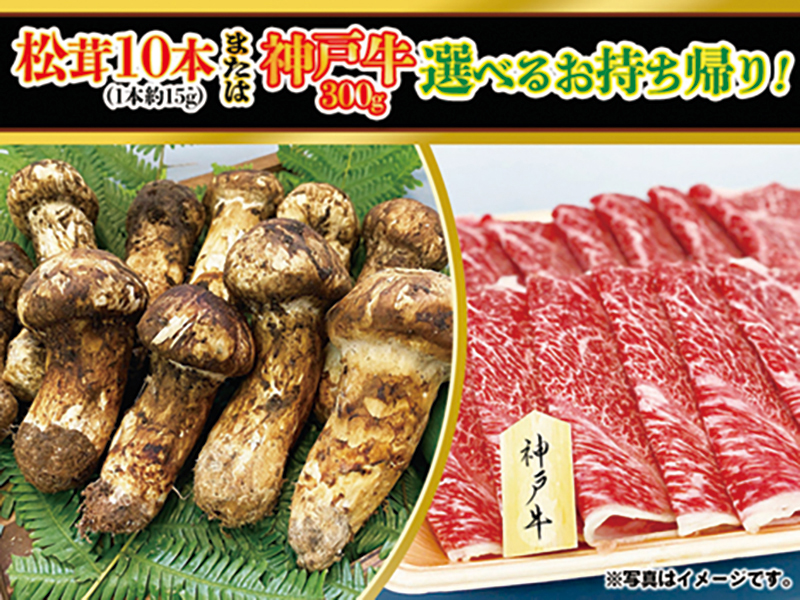 松茸10本または神戸牛300g高級食材選べるお持ち帰り