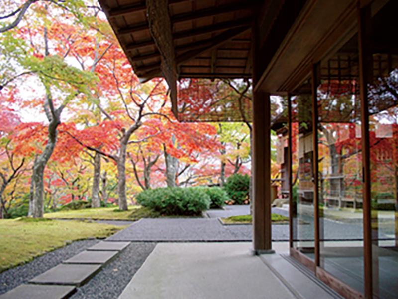 箱根で最古の美術館『箱根美術館』