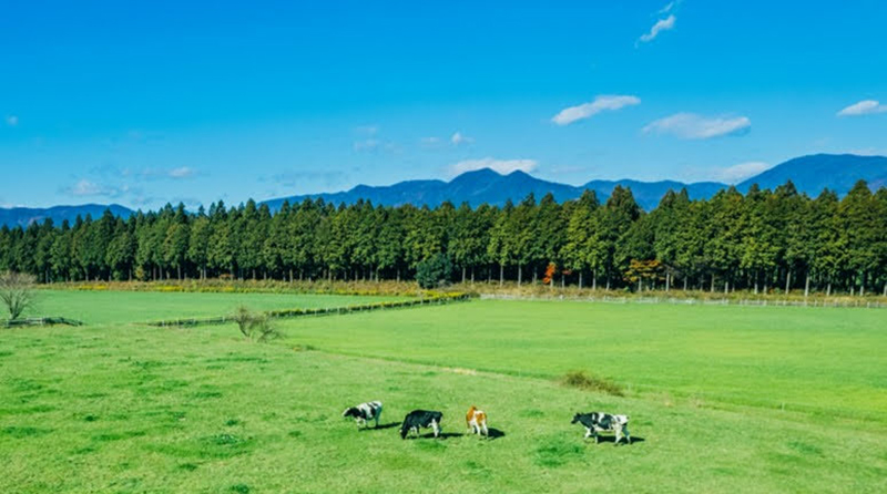 7年連続で転入者数が増加している自然豊かな那須塩原市。観光地としても人気