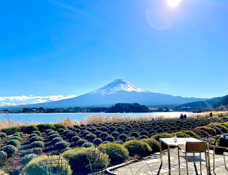 山中湖、河口湖といった富士五湖周辺では宿泊業、観光業といった求人も