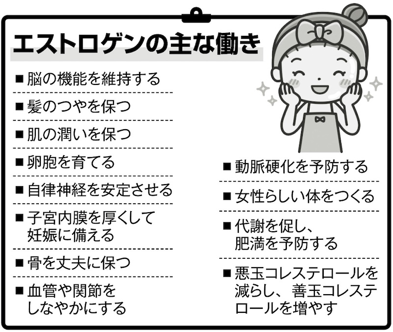 エストロゲンの主な働きをリスト化